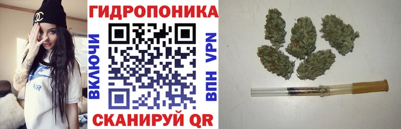Марихуана OG Kush  kraken онион  Томари 